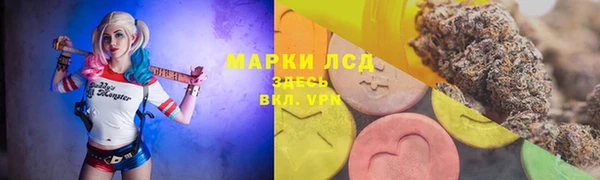 спайс Беломорск