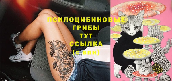 спайс Беломорск